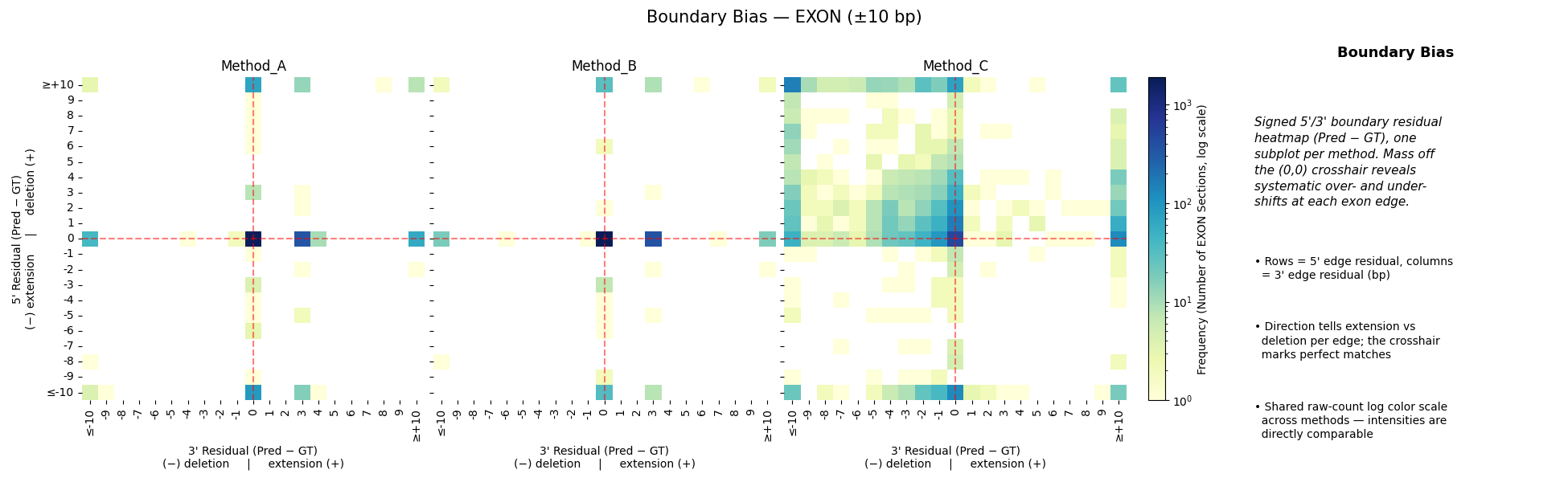 Boundary bias landscape